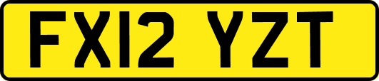 FX12YZT