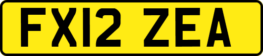 FX12ZEA