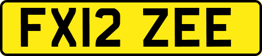 FX12ZEE