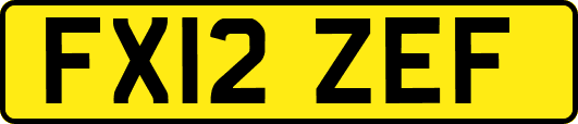 FX12ZEF