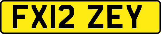 FX12ZEY