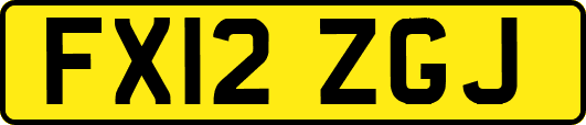 FX12ZGJ