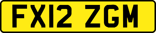FX12ZGM
