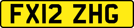 FX12ZHG