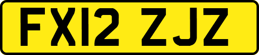 FX12ZJZ