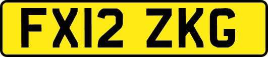FX12ZKG