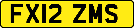 FX12ZMS