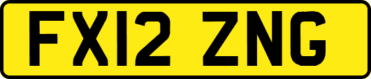 FX12ZNG