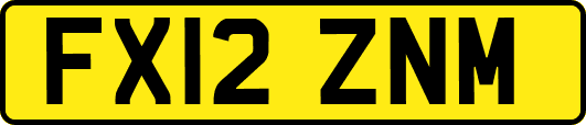 FX12ZNM