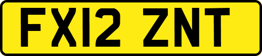 FX12ZNT