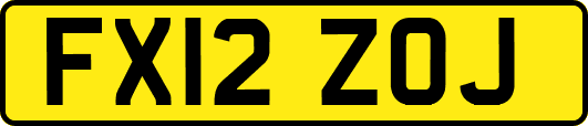 FX12ZOJ