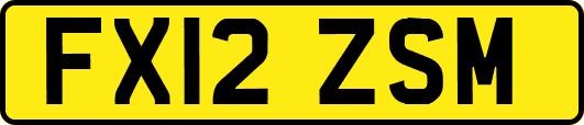 FX12ZSM