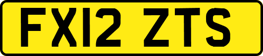 FX12ZTS