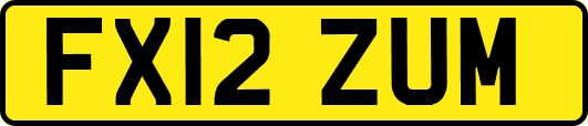 FX12ZUM