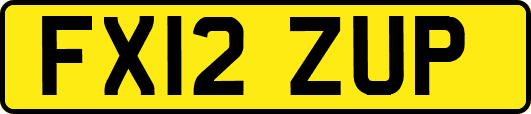 FX12ZUP