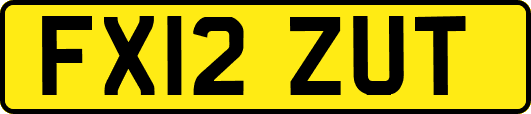 FX12ZUT