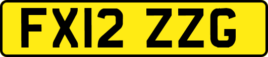 FX12ZZG