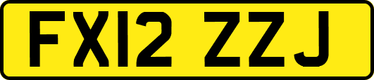 FX12ZZJ