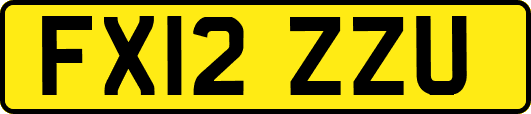 FX12ZZU