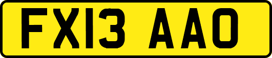 FX13AAO