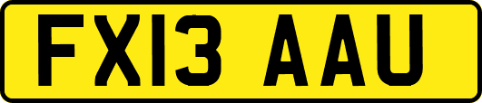 FX13AAU