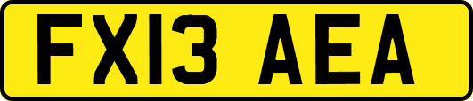FX13AEA