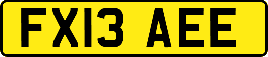 FX13AEE
