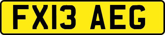 FX13AEG