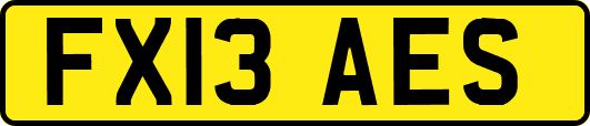 FX13AES