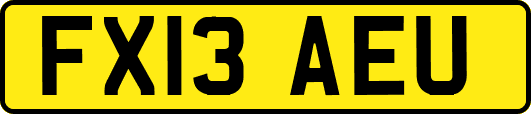 FX13AEU