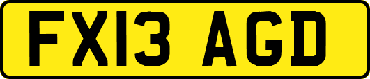 FX13AGD