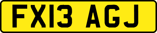 FX13AGJ