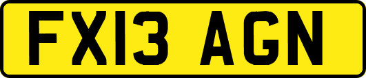 FX13AGN