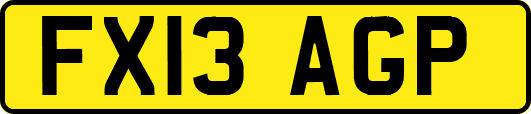 FX13AGP