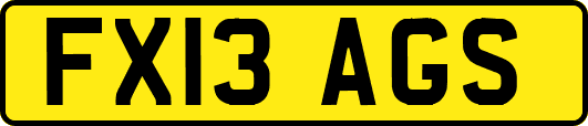 FX13AGS