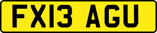 FX13AGU