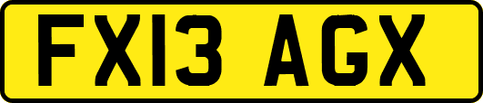 FX13AGX