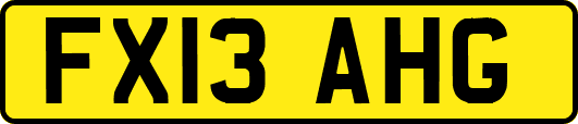 FX13AHG