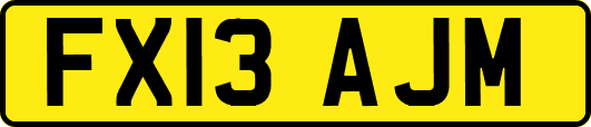 FX13AJM
