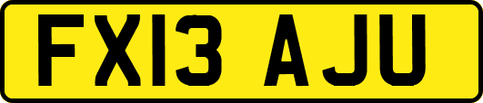 FX13AJU