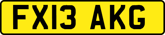 FX13AKG