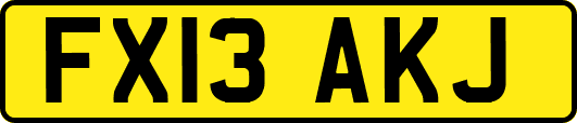 FX13AKJ