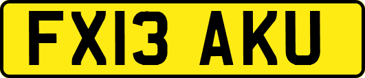FX13AKU