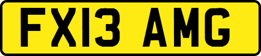 FX13AMG