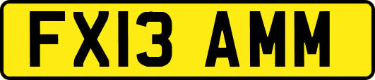 FX13AMM