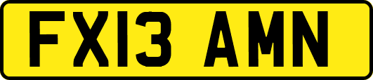 FX13AMN