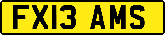 FX13AMS