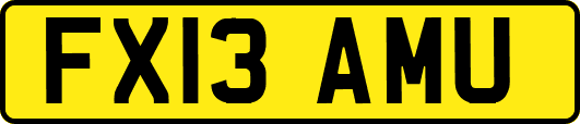 FX13AMU