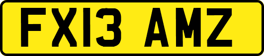 FX13AMZ