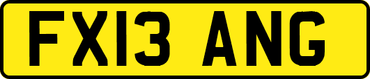 FX13ANG